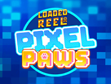 Pixel Paws